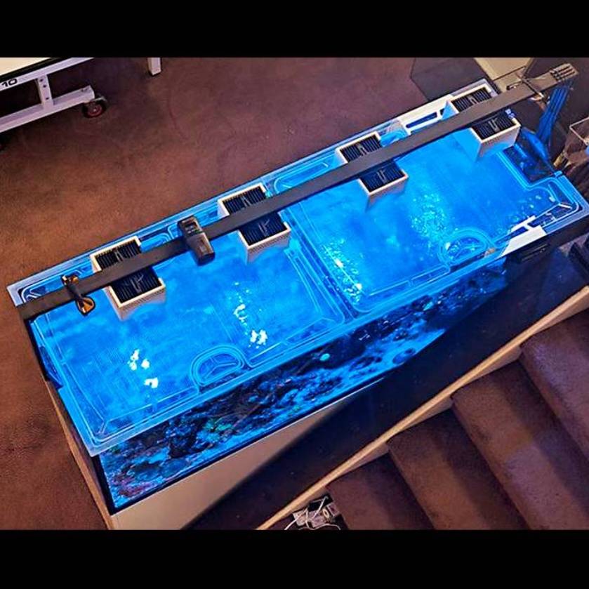 Waterbox Infinia Peninsula 4825 Custom Polycarbonate Aquarium Screen Top Lid