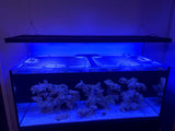 Red Sea Reefer 625 XXL G2+ Custom Polycarbonate Aquarium Screen Top Lid