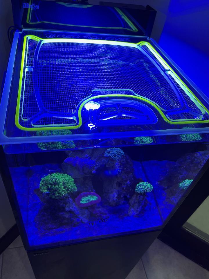Red Sea Max Nano Peninsula Custom Polycarbonate Aquarium Screen Top Lid