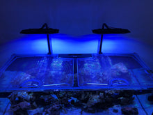 Load image into Gallery viewer, Waterbox Reef LX 270.6 Rimless Custom Polycarbonate Aquarium Screen Top Lid
