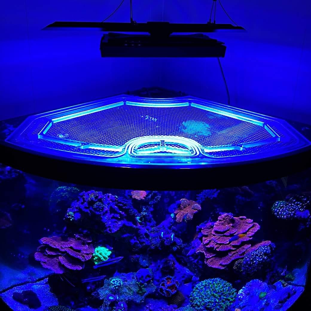 Aqueon 54 Gallon Corner Tank Custom Polycarbonate Aquarium Screen Top Lid
