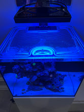 Load image into Gallery viewer, Red Sea Reefer 170 Custom Polycarbonate Aquarium Screen Top Lid
