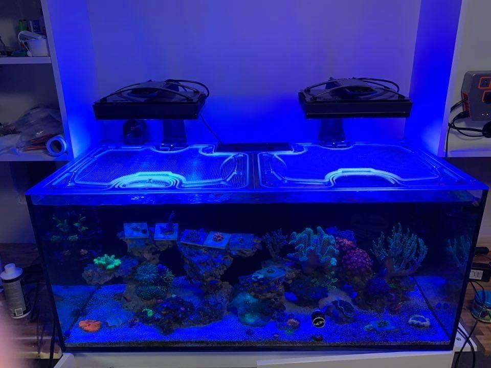 fish tank lid