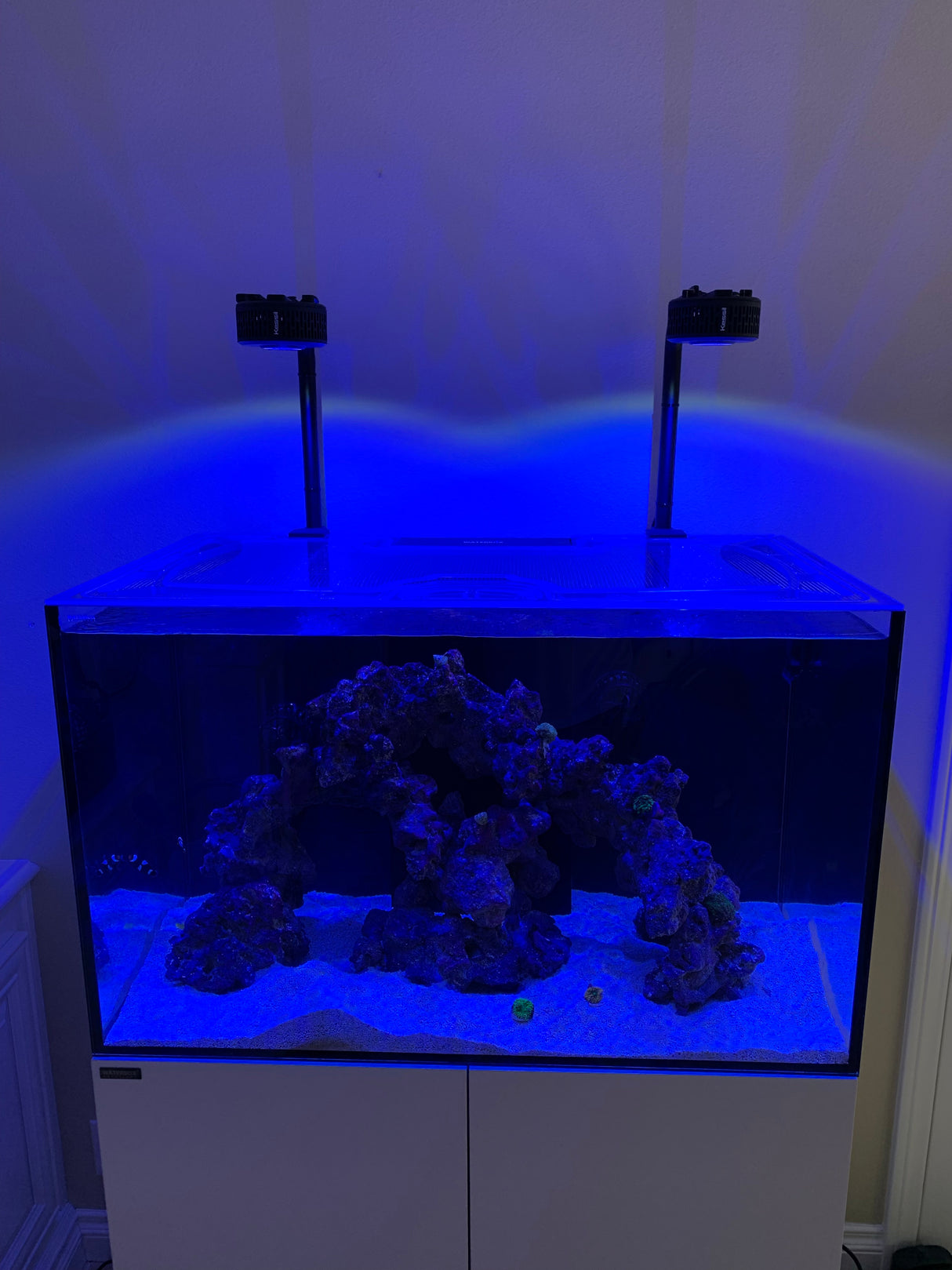 Waterbox Marine X 90.3 Custom Polycarbonate Screen Aquarium Top Lid