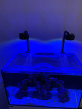 Waterbox Marine DX 90.3 Custom Polycarbonate Screen Aquarium Top Lid