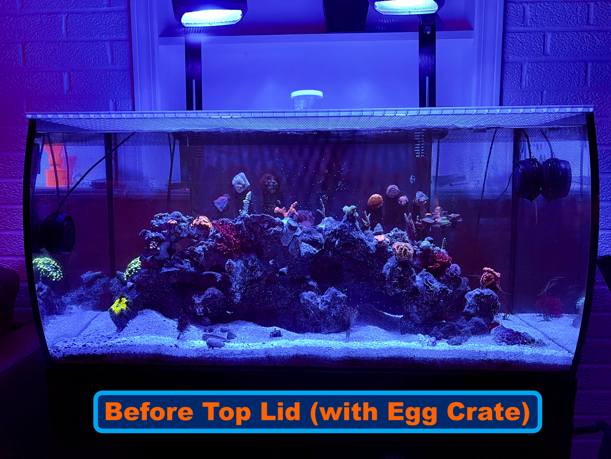 Fluval Flex 32.5G / 123L Custom Polycarbonate Aquarium Screen Top Lid