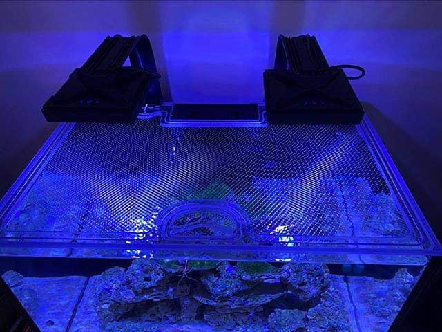 Red Sea Reefer 300 XL G1 and G2+ Custom Polycarbonate Aquarium Screen Top Lid