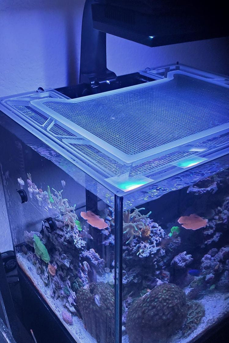 Red Sea Reefer 170 Custom Polycarbonate Aquarium Screen Top Lid