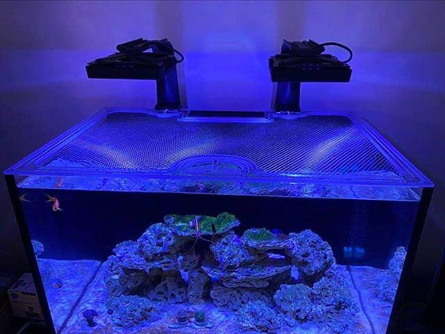 Red Sea Reefer 300 XL Custom Polycarbonate Aquarium Screen Top Lid