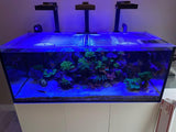 Waterbox Reef 180.5 Custom Polycarbonate Aquarium Screen Top Lid