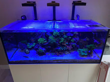 Load image into Gallery viewer, Waterbox Reef 180.5 Custom Polycarbonate Aquarium Screen Top Lid

