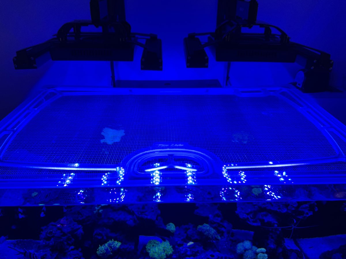 Innovative Marine NUVO 75 EXT Custom Polycarbonate Aquarium Screen Top Lid