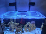 fish tank lids for sale