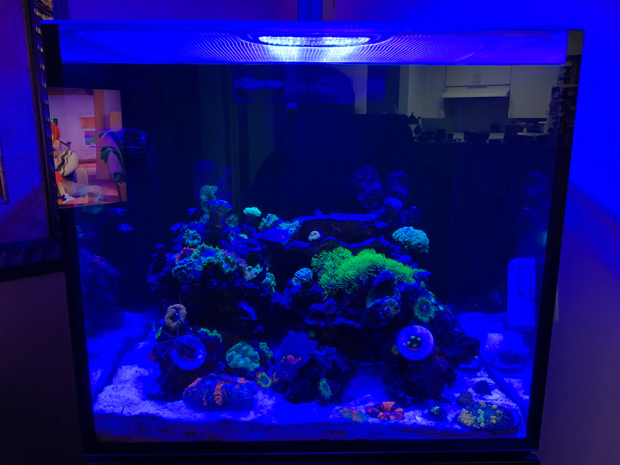 Red Sea Reefer 200 XL Custom Polycarbonate Aquarium Screen Top Lid