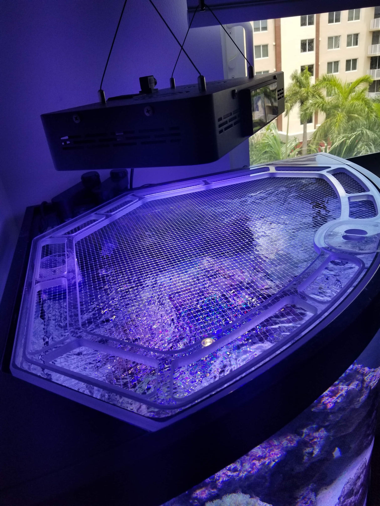 Aqueon 92 Gallon Corner Tank Custom Polycarbonate Aquarium Screen Top Lid