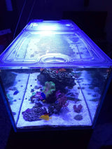 Waterbox Peninsula 6025 Custom Polycarbonate Aquarium Screen Top Lid