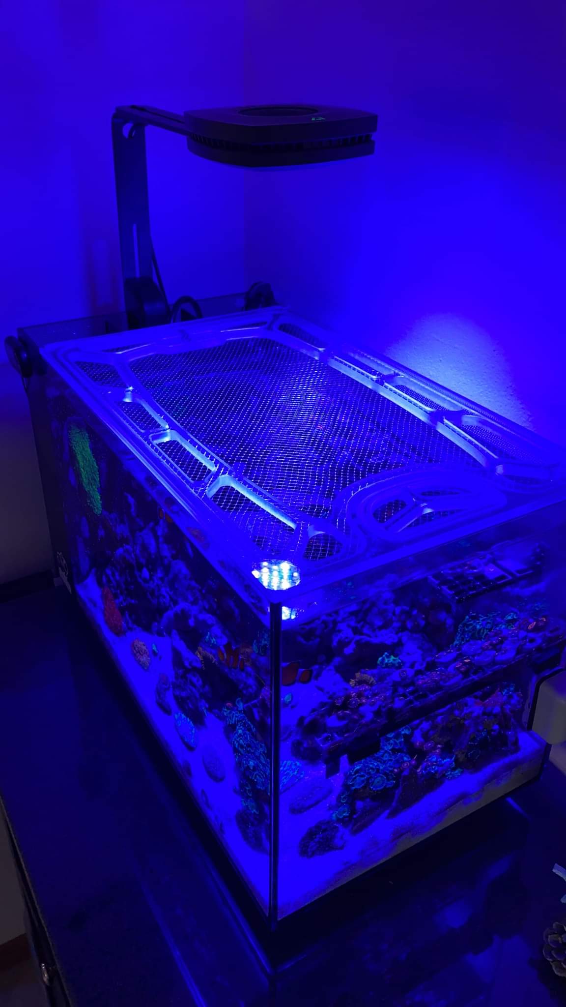 Fluval Evo 13.5 Custom Polycarbonate Aquarium Screen Top Lid